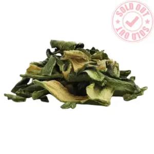 SanPedroCactus-Dried-Skin